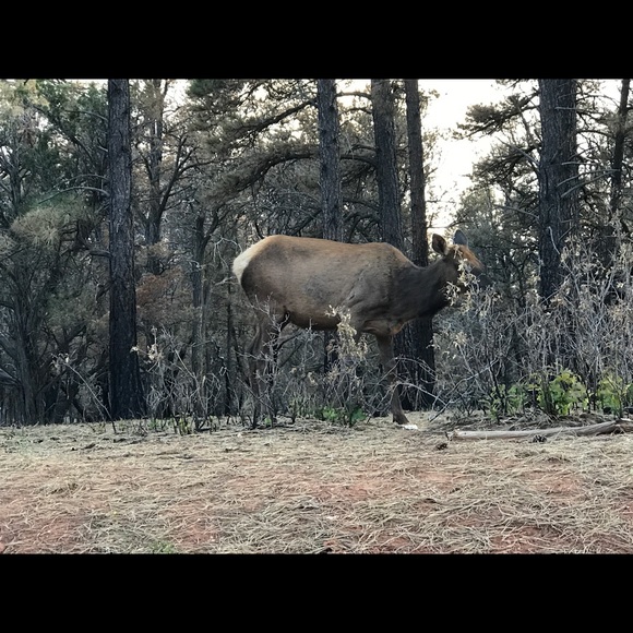 Meet your Posher, Joshua - Picture 1 of 1