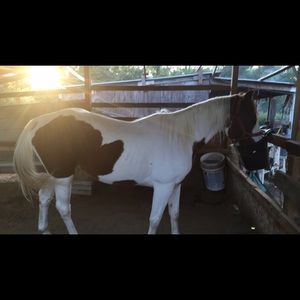 Meet your Posher, Christian