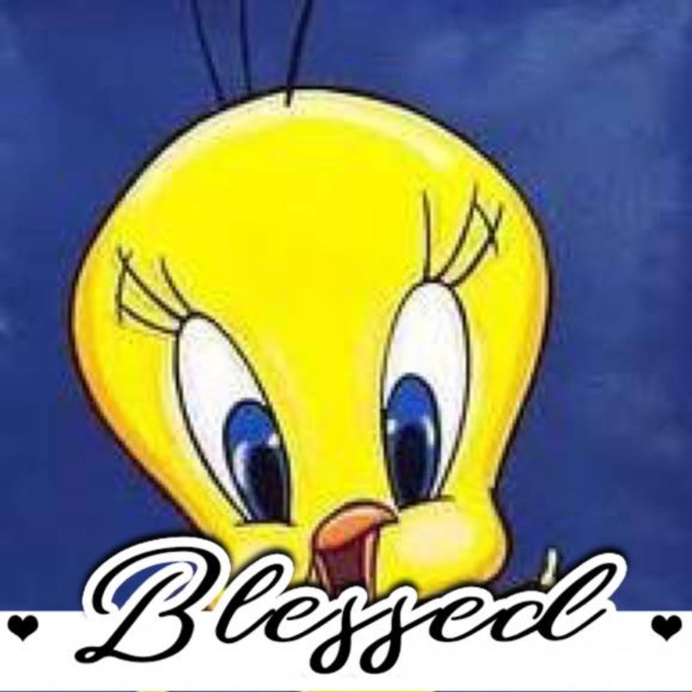 Meet your Posher, Malaysha