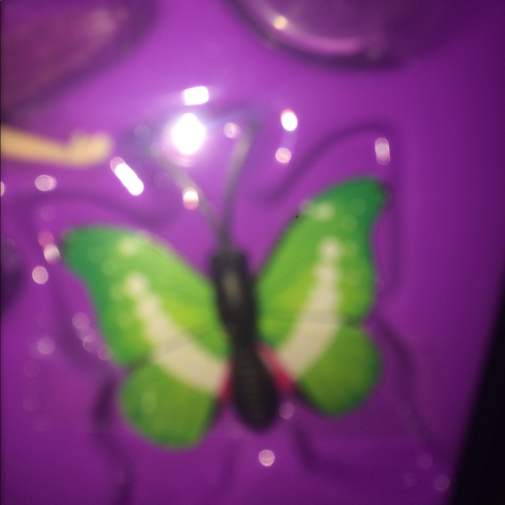 Meet your Posher, Sadie