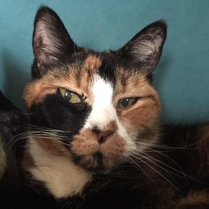 Meet your Posher, Karen