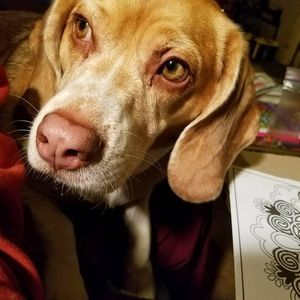 Meet your Posher, Luann