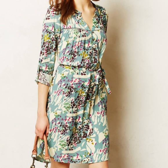 coast shirt dress