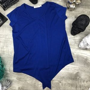 Royal Blue pointed Scoop blouse