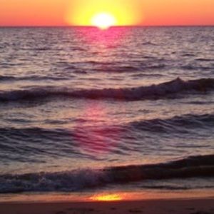 Meet your Posher, Brooklyn