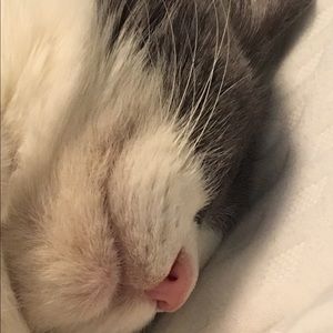 Meet your Posher, Robin