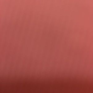 Meet your Posher, Daniella