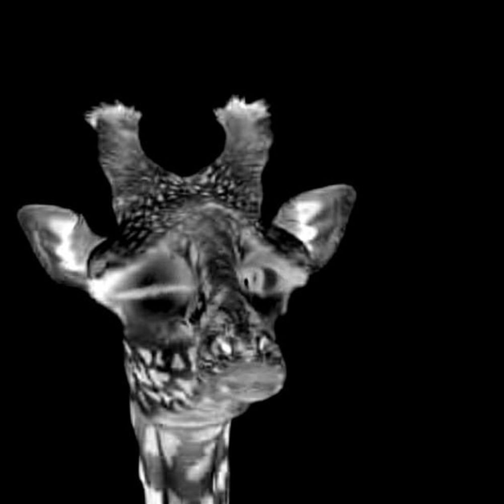 Meet your Posher, Kelley