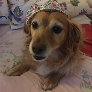 Meet your Posher, May