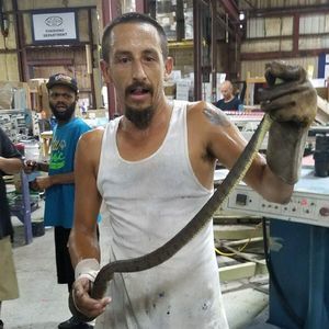 Meet your Posher, William