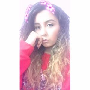 Meet your Posher, Daisy