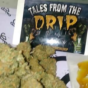 Meet your Posher, Benjamin