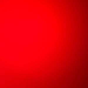 Meet your Posher, Lidia