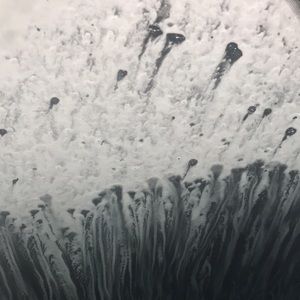 Meet your Posher, Carly