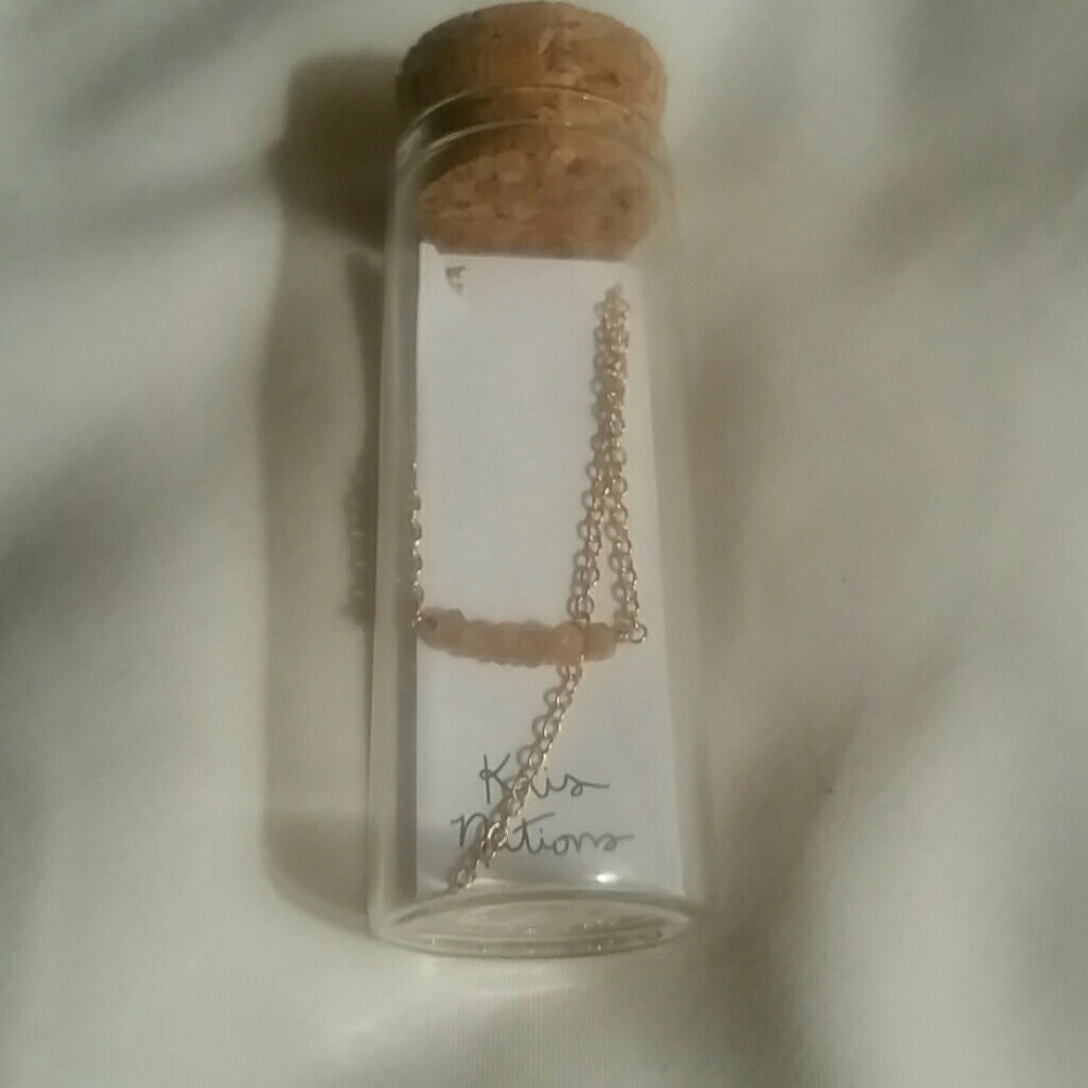 Kris Nations Necklace from Fab Fit Fun Box