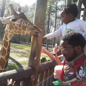 Meet your Posher, Troy