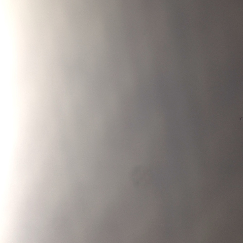 Meet your Posher, Bby