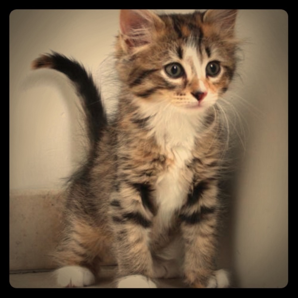 Make me an offer!! 🍹🐩🌈🎀