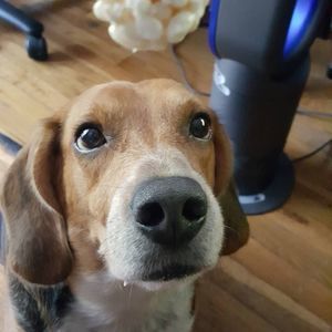 Meet your Posher, Dale