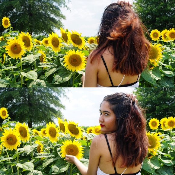 Meet your Posher, Ilsa - Picture 2 of 2