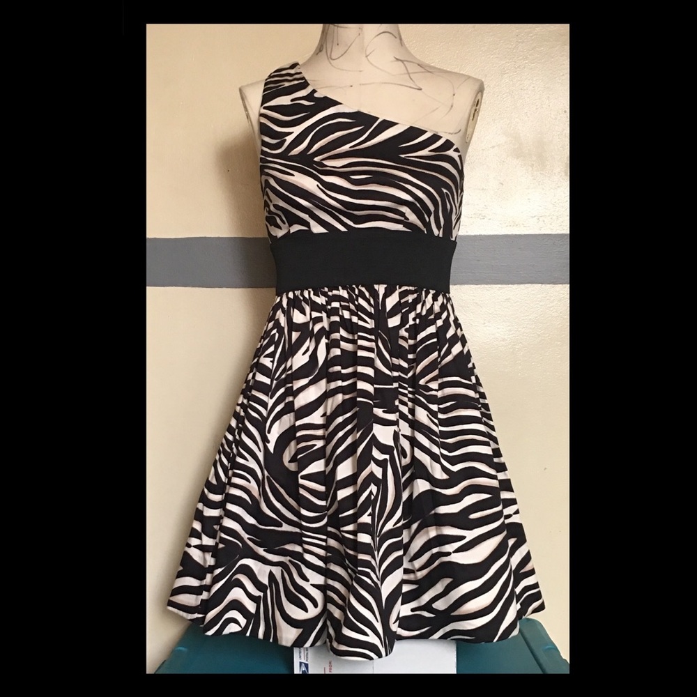 Zebra print One Shoulder Dress