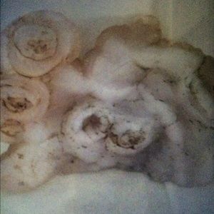 Meet your Posher, Rocio