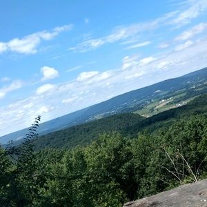 Meet your Posher, Brynn