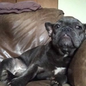 Meet your Posher, Jed