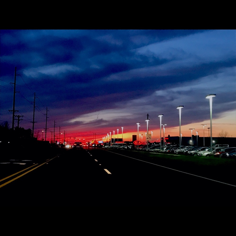 Meet your Posher, Bella