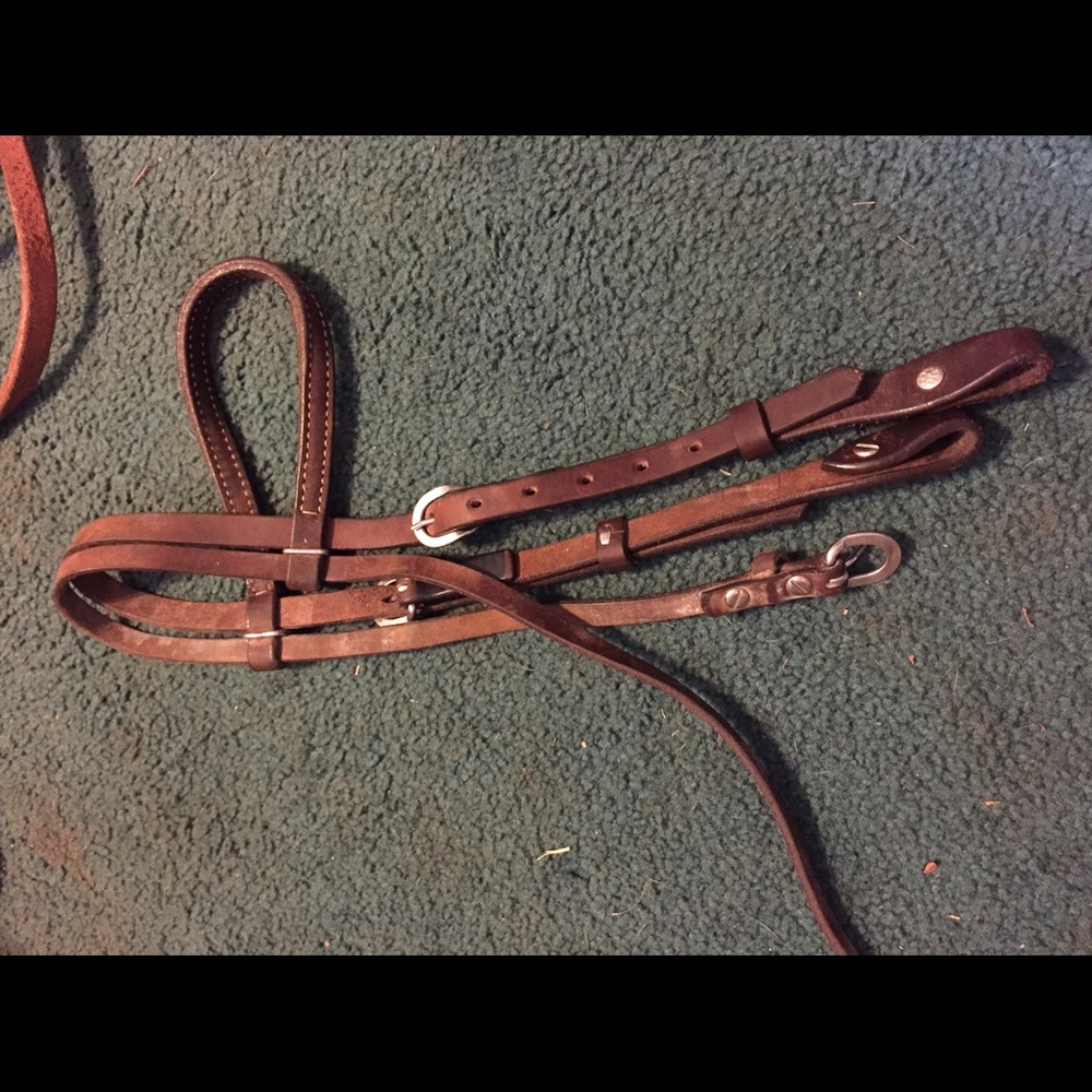 Horse bridles