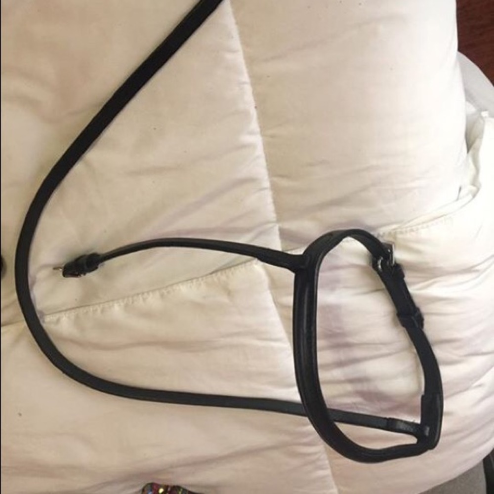 Pony sized noseband & reins