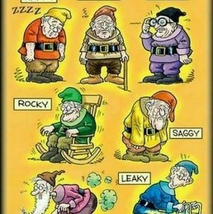 Meet your Posher, Diane