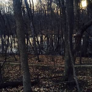 Meet your Posher, Zac