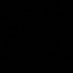 Meet your Posher, Leo