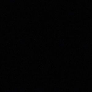 Meet your Posher, Jess