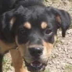 Meet your Posher, Ashleigh