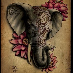 Meet your Posher, Ashly