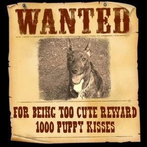 Meet your Posher, Edwin