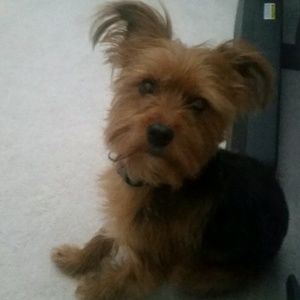 Meet your Posher, Kham