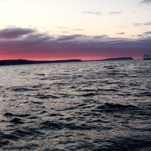 Meet your Posher, Bailey