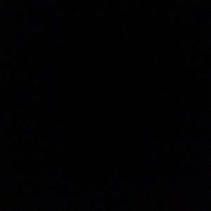 Meet your Posher, Susie