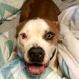 Meet your Posher, Ricky