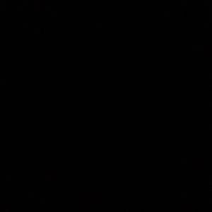 Meet your Posher, Trevor