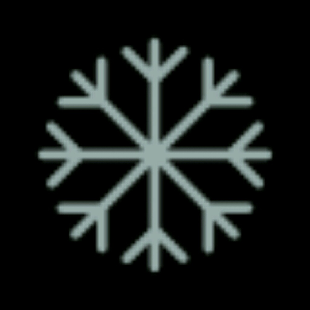 Meet your Posher, Tamara