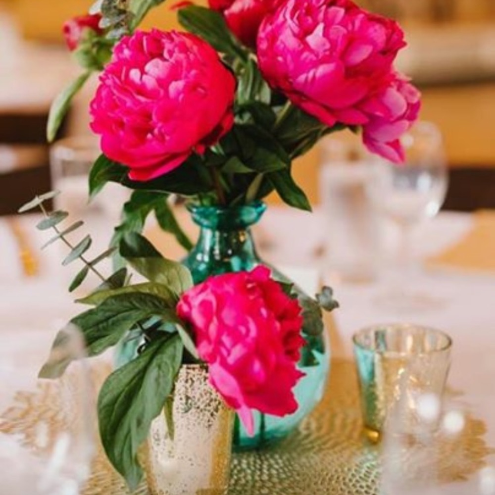 Meet your Posher, Carly