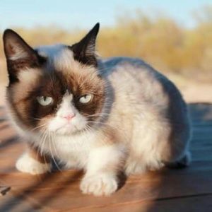 ARE WE IN PENNSYLVANIA YET?