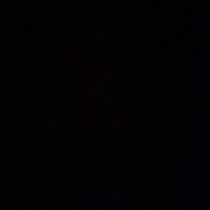 Meet your Posher, Nina