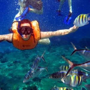 Meet your Posher, Paula