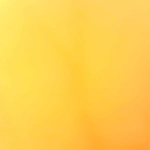 Meet your Posher, Nae