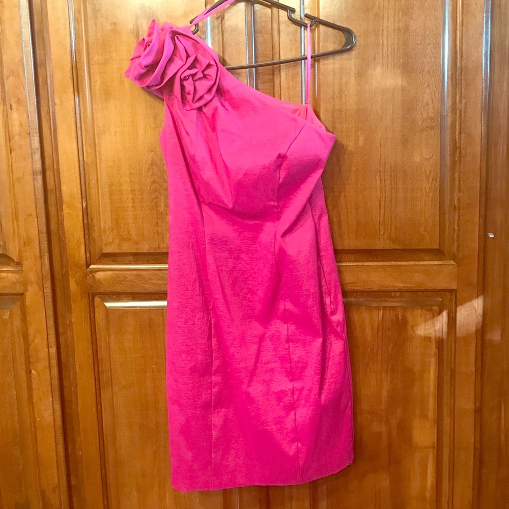 Dressbarn Collection- Pink one shoulder dress